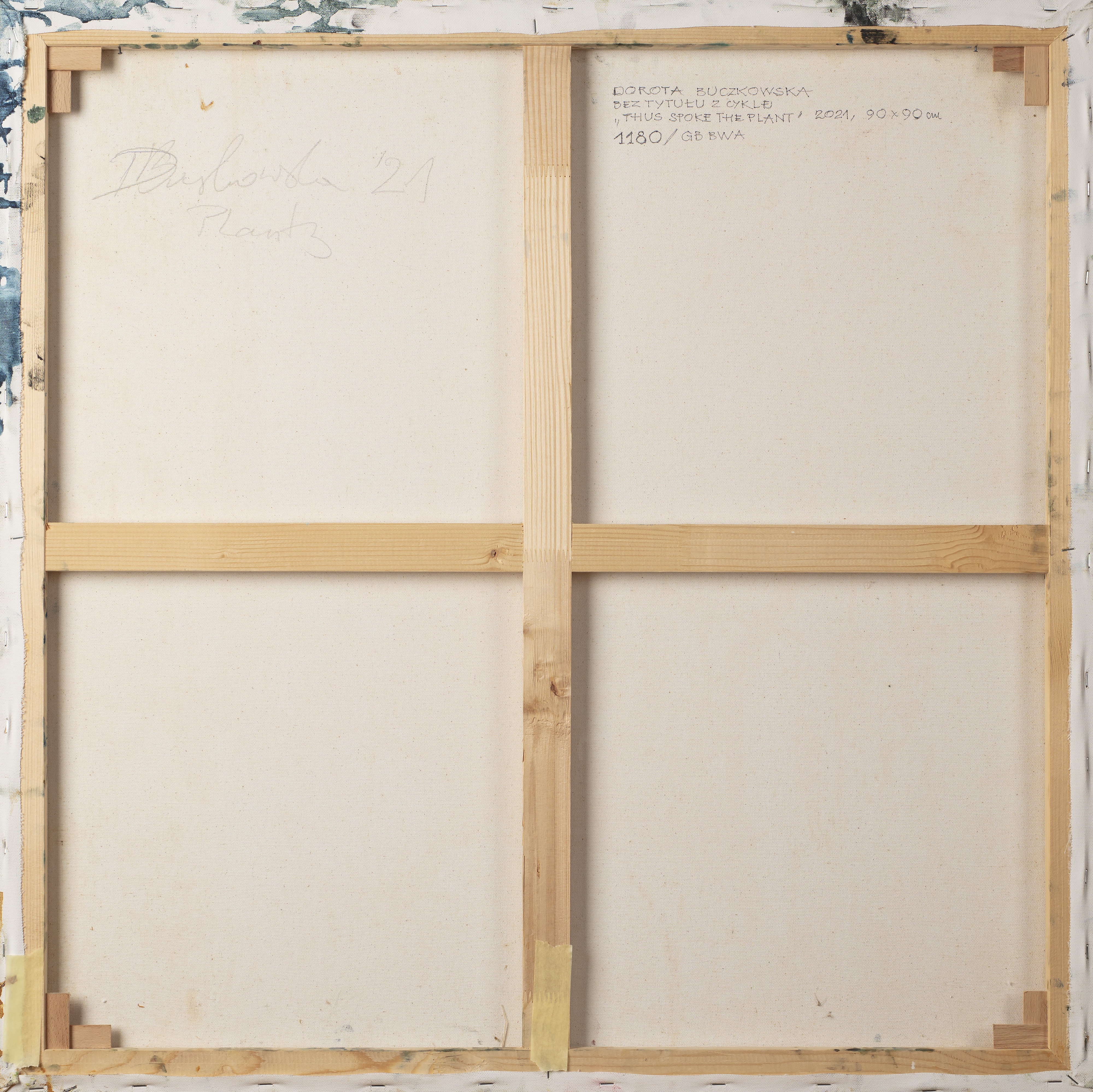 Untitled from the cycle Thus Spoke the Plant